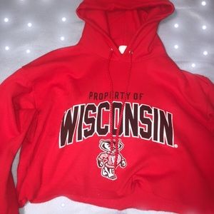 University of Wisconsin Hoodie
